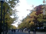 0711osakajokoen.JPG