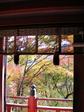 0811tanzanjinja1.JPG