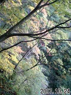 071024_1532~0001.jpg