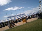 rfl072.jpg